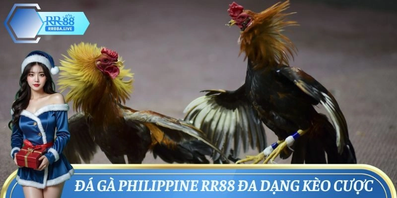Đầy đủ kèo cược hấp dẫn trong đá gà Philippines