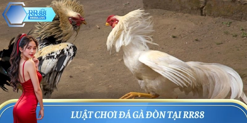 Khám phá luật chơi đá gà đòn bài bản 