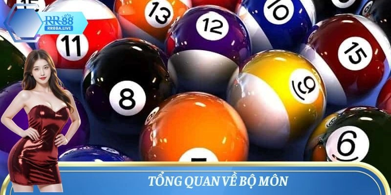 Tổng quan về bộ môn